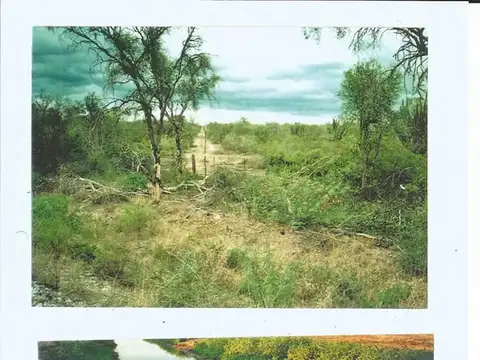 Campo en Venta de 370  ha