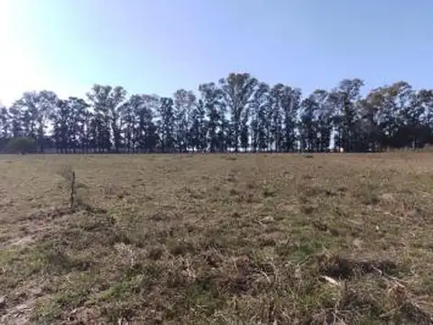 Casa en Venta de 1 dormitorio