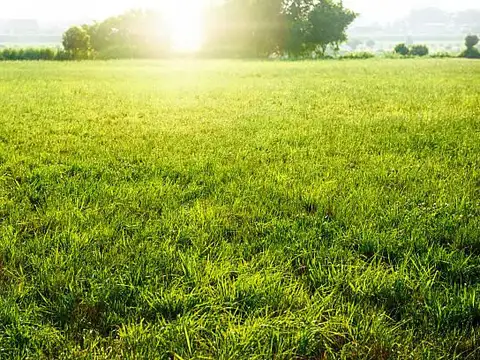 Casa Quinta en Venta, en Loma Verde, Escobar, G.B.A.  Norte