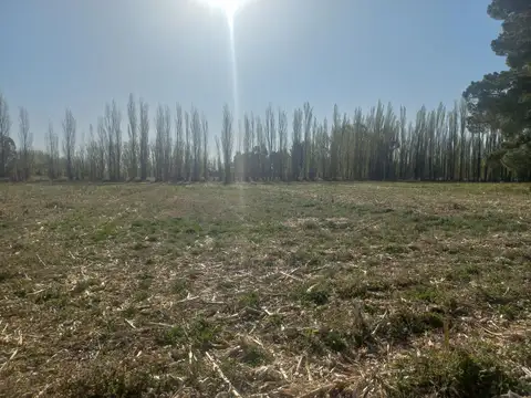 Chacra en  Rio colorado