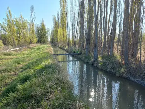 Chacra en  Rio colorado