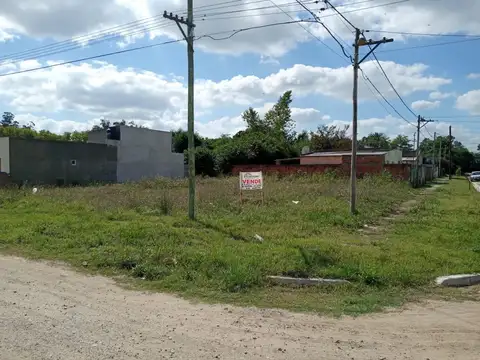 Berra 2100