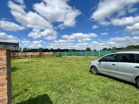 La Agustina Pilar 100