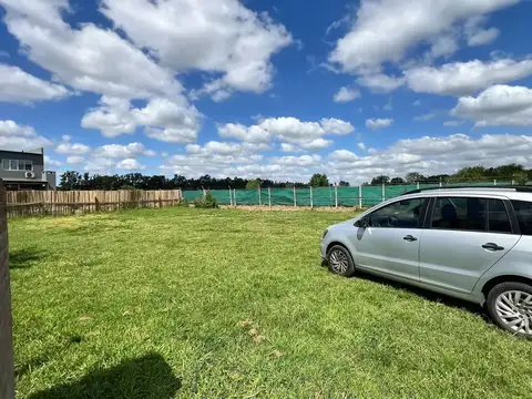 La Agustina Pilar 100