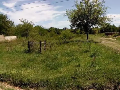 Terreno - Colon