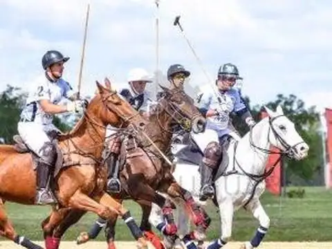 Terreno en Venta de 795,0 m2