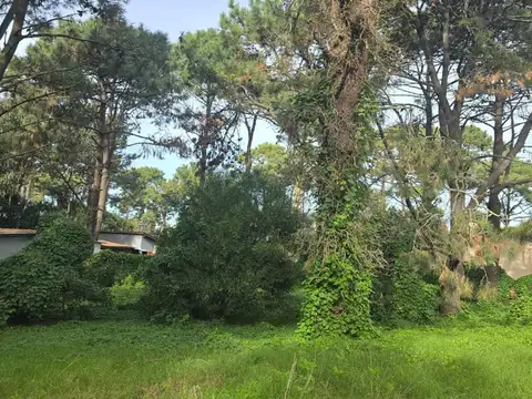 Terreno en Venta en Ostende, USD 38.000