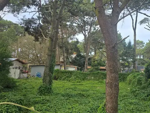 Matheu e/ Atenas y Lisboa
