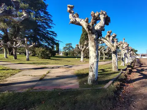 Terreno en Venta de 312,0 m2