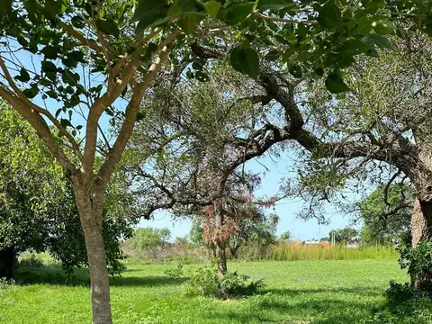  LOTES EN CAYASTA 
