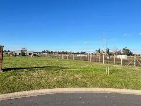 Leandro Niceforo Alem 3300