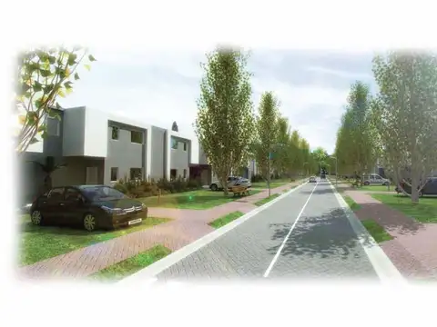 Calle Los Lobos -  DECS TORTUGAS -  Garin