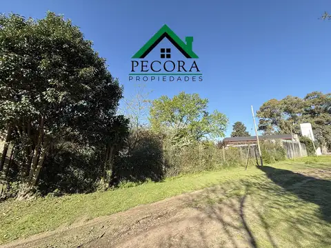 Terreno en Venta 18  mts Fondo
