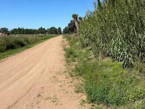 Paula Panal esq. Glattstein