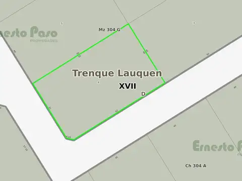 Lote en venta en zona sur de Trenque Lauquen