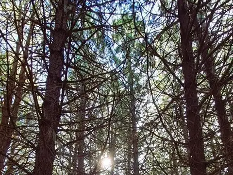 Terreno en venta - 660Mts2 - San Martín de los Andes 