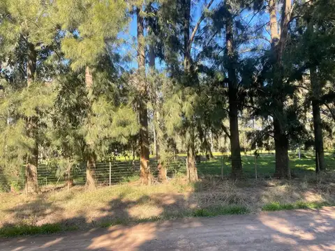 Terreno en Venta en Gomez, USD 65.000