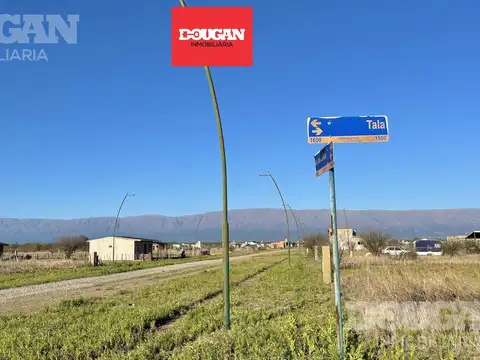 LOTES DESDE 7500 USD - Estacion Conlara / San Luis