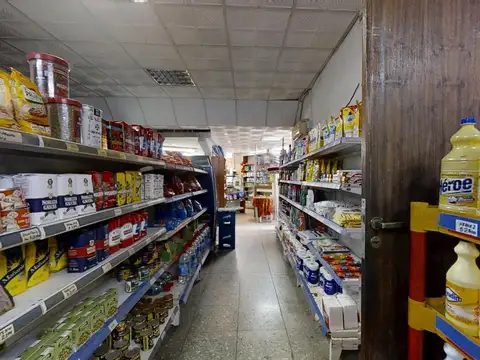 Vivienda de 5 Ambientes y Local Comercial | 300 m² cubiertos | En San Isidro con Patio y Terraza