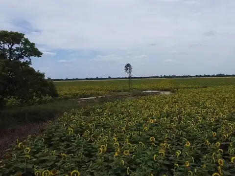 VENTA CAMPO AGRICOLA SOBRE RN 34