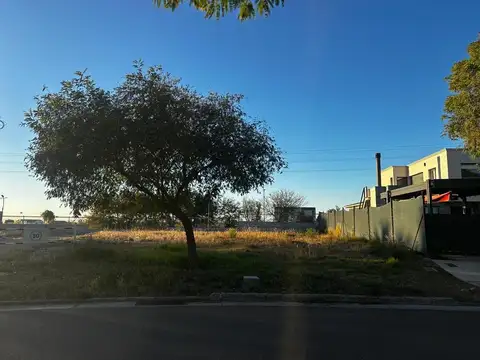 Terreno en Venta 14  mts Frente