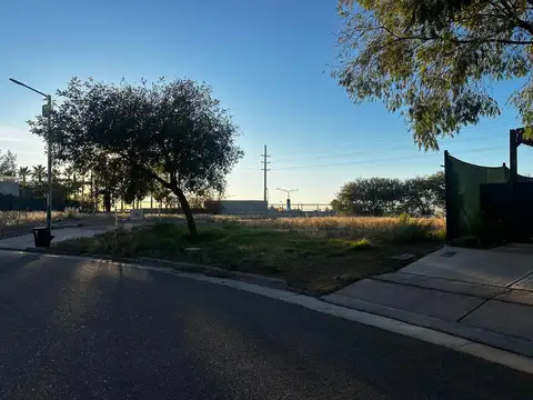 Terreno en Venta 29  mts Fondo