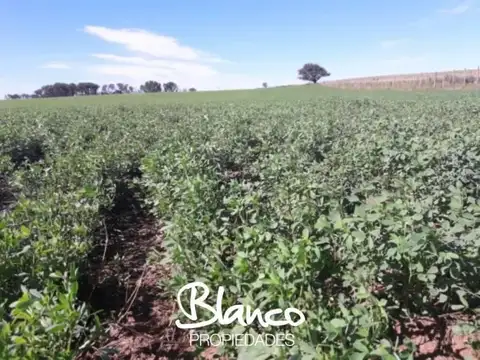 BUENA ESPERANZA - SAN LUIS 100