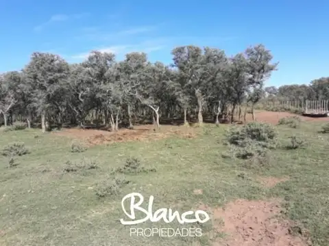 Campo  en Venta en San Luis Capital, San Luis, Argentina