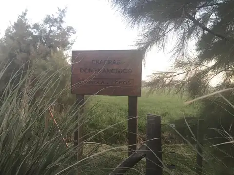 Zapiola, Lobos - Buenos Aires