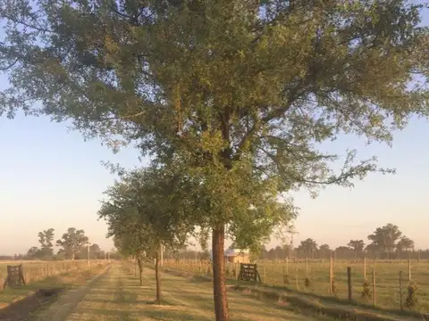 Terreno en Venta de 7,0 m2