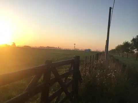 Terreno en Venta de 7500,0 m2