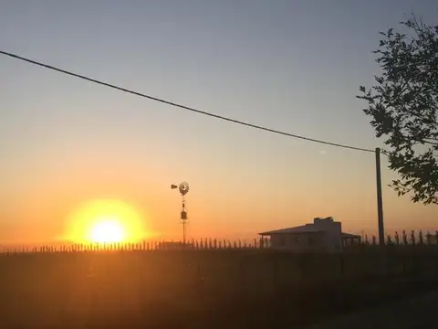 Zapiola, Lobos - Buenos Aires