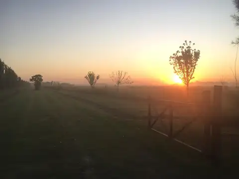 Chacra en Zapiola - Barrio cerrado sin expensas