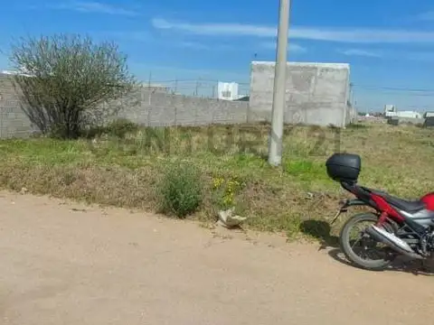 Terreno en Venta 29  mts Fondo