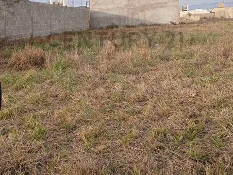 monseñor hector isidro pereyrra 1200