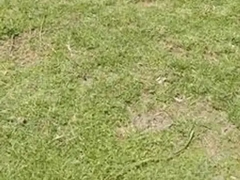 RUTA 25 Y TRUJUY RUTA 23