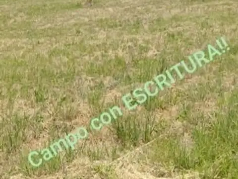 OPORTUNIDAD VENTA IMPOTENTE CAMPO DE 6 HECTAREAS ESCUCHA OFERTA