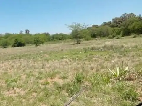 RUTA 25 Y TRUJUY RUTA 23