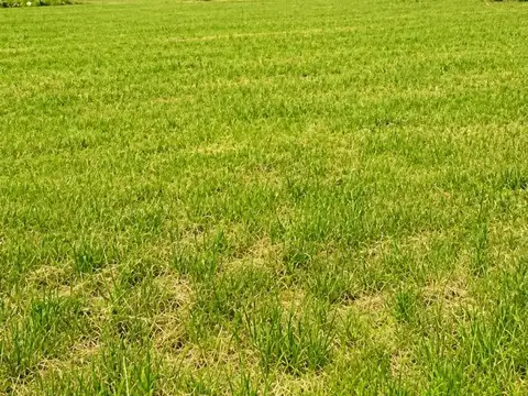 Campo en Venta en Moreno, Partido de Moreno