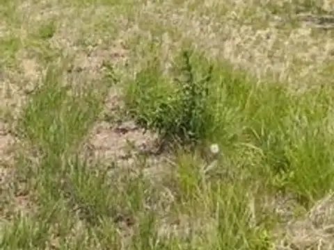 RUTA 25 Y TRUJUY RUTA 23 100