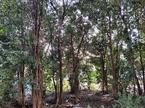 Terreno en Venta en Villa Catalina, USD 25.000