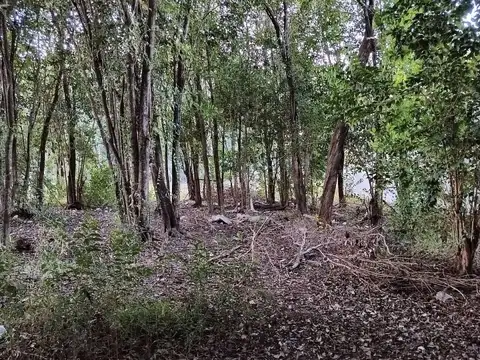 Lote en venta 300 m² con escritura en Campos Verdes, Villa Catalina, Río Ceballos