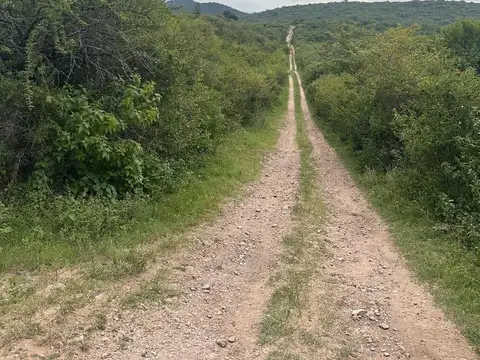 Terreno en Venta en Salsipuedes, USD 50.000