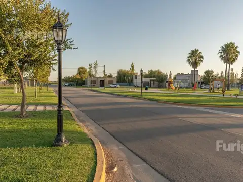 Los Viñedos de 1 Dormitorios