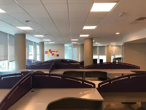 Oficina en Alquiler 2 años