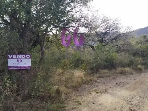 VILLA ELENA - CORTADERAS