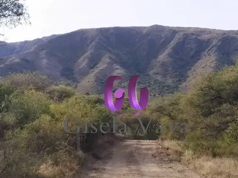 VILLA ELENA - CORTADERAS