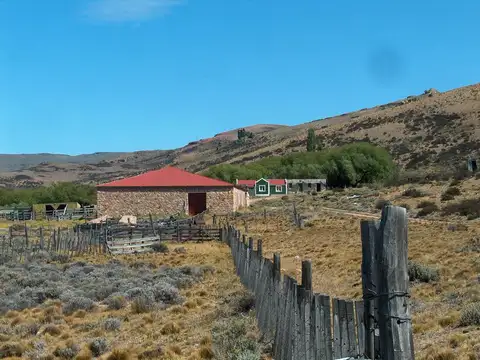 Campo - Gobernador Gregores