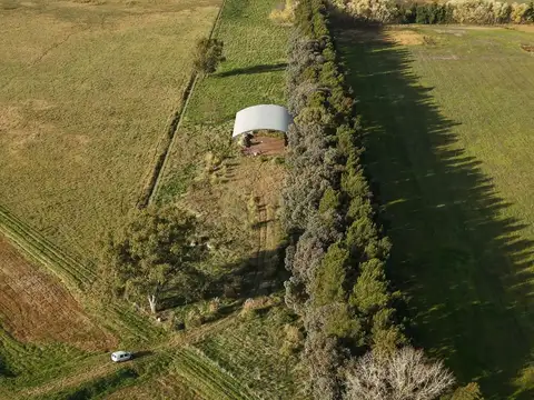 VENTA CAMPO SOBRE RUTA NACIONAL Nº 3 MONTE 