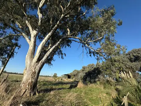 Terreno en Venta de 47574,0 m2